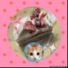 coco♥️'s profile picture