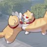 Irem's profile picture
