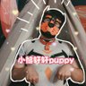 Фото профиля 小熊轩轩puppy