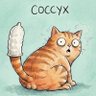 Profilbild von COCCYX