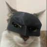 Only_a_user's profile picture