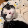 Tammy's profile picture