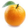 Orange's profile picture