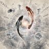 东方既白Ai's profile picture