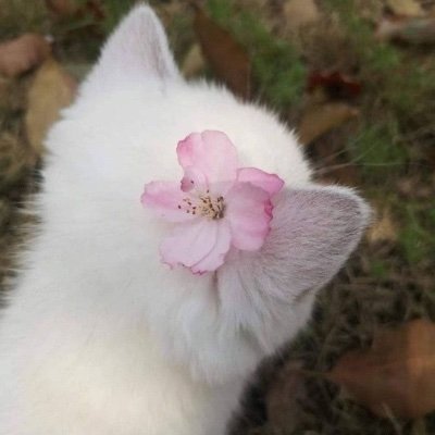 เจน's profile picture