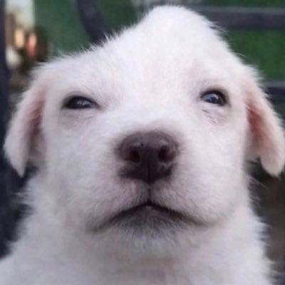 kylie 💖🏳️⚧️'s profile picture
