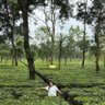 Фото профиля Rashmighosh