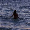 Ocean 🌊 的头像