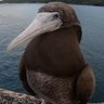ソラコ's profile picture