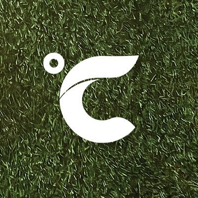 CELSIUS Energy Drink's profile picture
