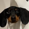 Profilbild von MR-Luo
