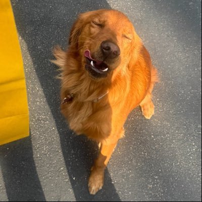 Jerry Berry๐ซ๐๐'s profile picture