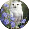 Profilbild von ミミズク'(土日祝休)