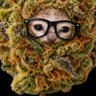 Banana Neko Puffs🤌🏼💨💨💨😶‍🌫️'s profile picture