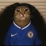 bioloGS💛♥️🦁's profile picture