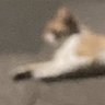Cafran's profile picture