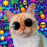 Фото профиля Cattinho