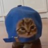 Profilbild von Ozzi