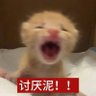 你的雨宝儿 的头像