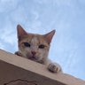 Muteb profil fotoğrafı