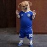 Profilbild von ALL ABOUT CHELSEA FC (AAC)💣💙📌