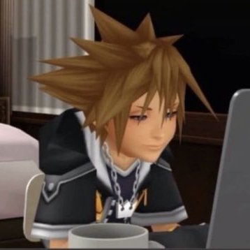 juniかさ!🩷 (finishing kingdom hearts 2 final mix)'s profile picture
