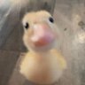 Profilbild von SarmonJr