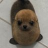 Vicサ profil fotoğrafı