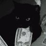 Profilbild von bob