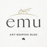 Фото профиля emu