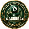 Nasirsadam44/Inter link Trainee Ambassador profil fotoğrafı