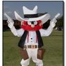Raider Reds Burner 🌵's profile picture