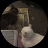 مَـلاذ's profile picture