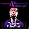 TRUMP on PULSECHAIN 🇺🇸's profile picture