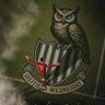 Dem Owls 🦉's profile picture