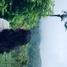 D I V Y A profil fotoğrafı