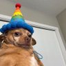 Profilbild von g