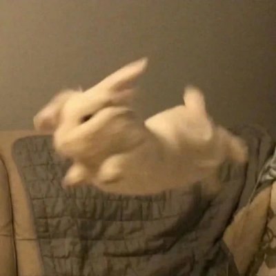 체리's profile picture
