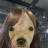 Unbound's profile picture