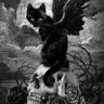 curious🐈⬛cat's profile picture