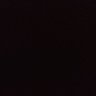 乗っ取りに遭いました's profile picture