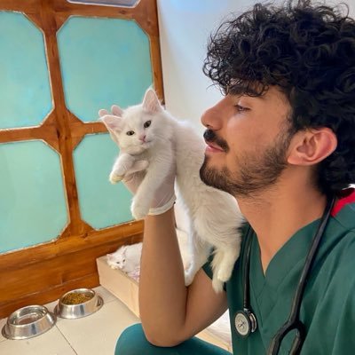 Çar Gurçik's profile picture