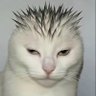 Profilbild von 7T3