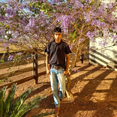 twarsexb's profile picture
