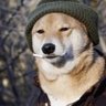 Profilbild von ralangimama
