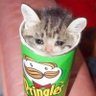 Profilbild von endy
