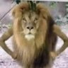 NickK profil fotoğrafı