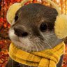 yammy๐'s profile picture