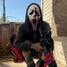 HOPOUTSOS profil fotoğrafı