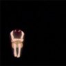 unfortunatelylied 的头像